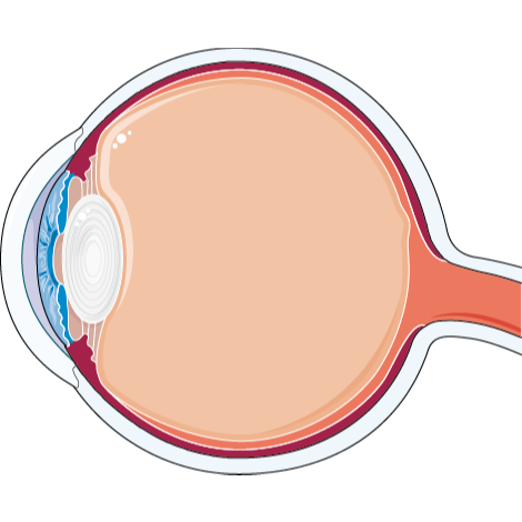 Cataract logo